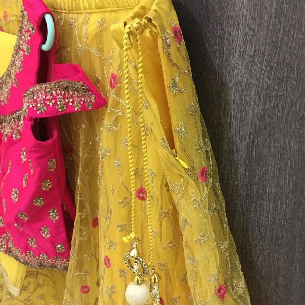 Lehenga in Yellow and Pink - Picture 13 of 16